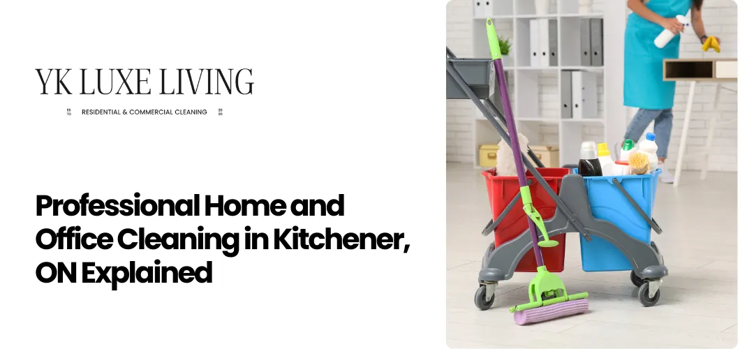 professional home and office cleaning